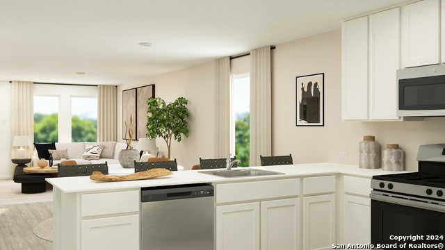 1007 Beck Terrace, San Antonio, Texas image 11