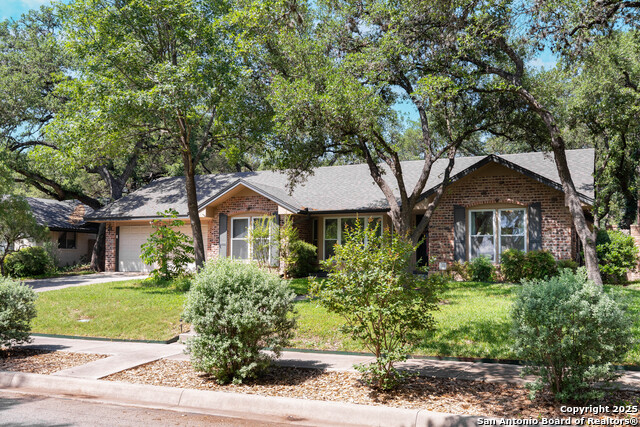 9806 Greentree Dr., San Antonio, Texas image 2