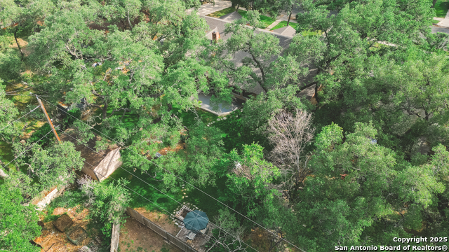 9806 Greentree Dr., San Antonio, Texas image 35