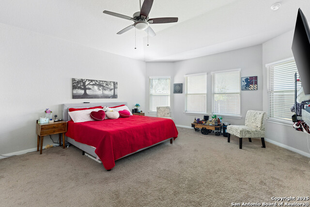 727 Myrtle Path, New Braunfels, Texas image 15