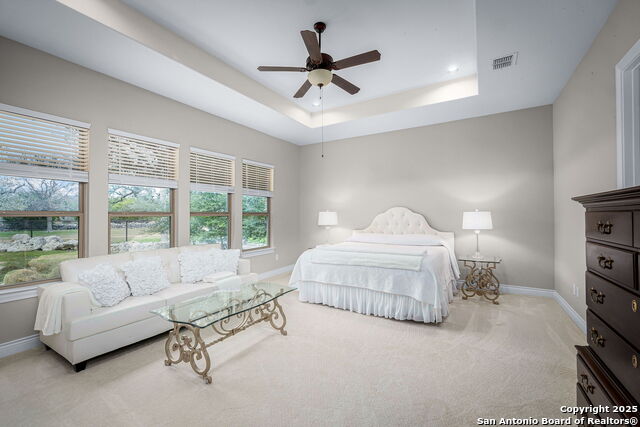 2041 Incrociato, New Braunfels, Texas image 15