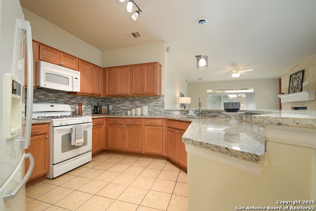 12538 Sandy Dunes, San Antonio, Texas image 8