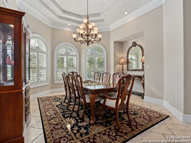 115 Manchester Way, Shavano Park, Texas image 11