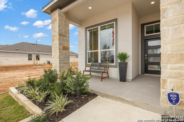 521 Canyon Live Oak, Seguin, Texas image 13