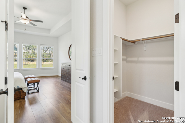 18335 Powder, San Antonio, Texas image 42
