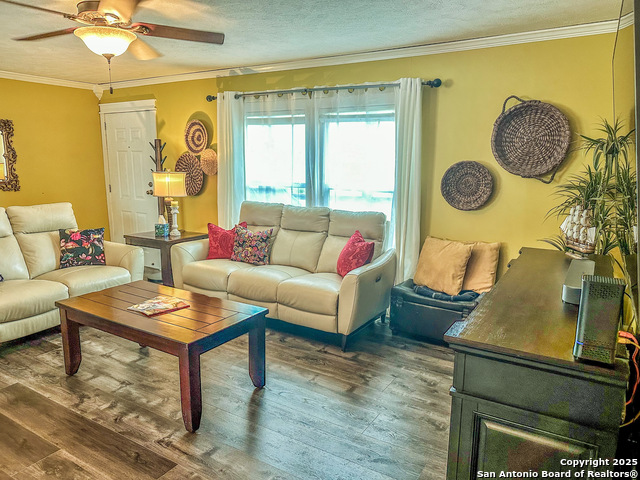 240 Dominguez, Marion, Texas image 17