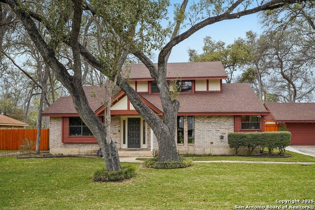 114 Lone Oak St, Seguin, Texas image 4