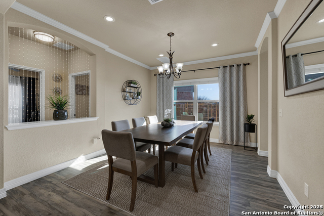 1366 Garden Laurel, New Braunfels, Texas image 5
