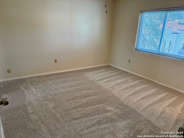2779 Del Pilar, San Antonio, Texas image 8