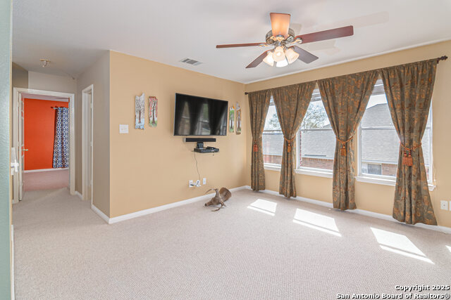 2043 Heaton Hall, New Braunfels, Texas image 18