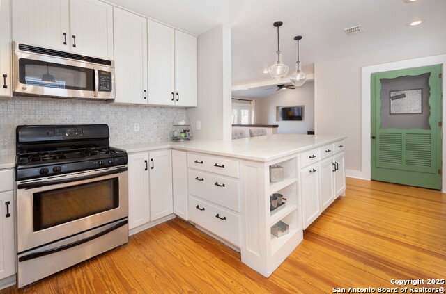 346 S Sycamore, New Braunfels, Texas image 10
