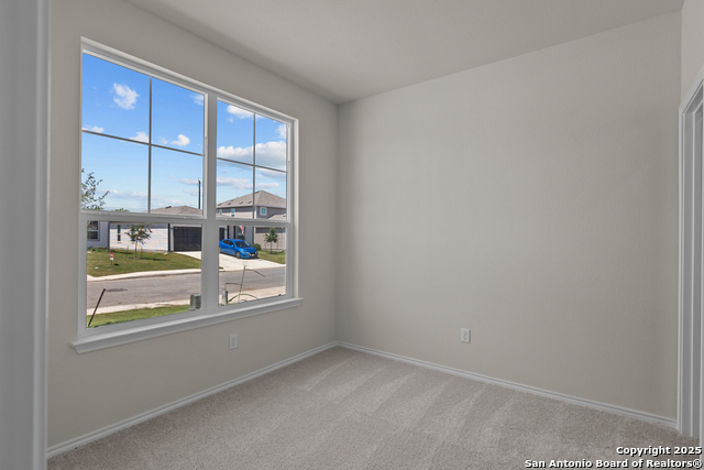 1520 Golden Wheat, New Braunfels, Texas image 12