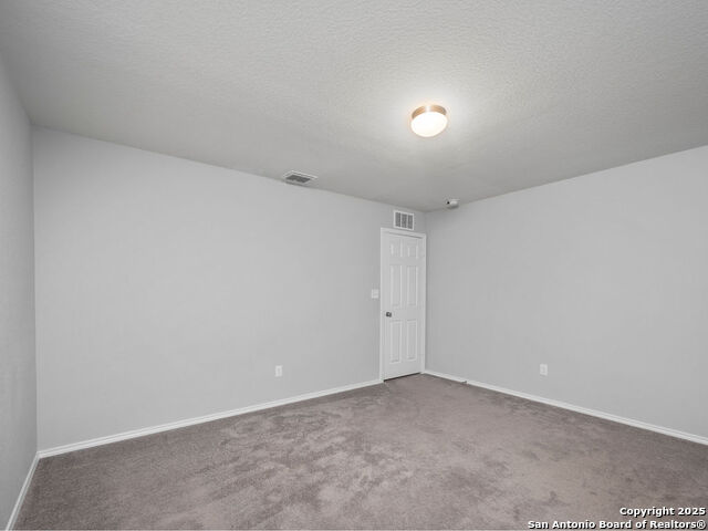 423 Dappled Willow, New Braunfels, Texas image 16