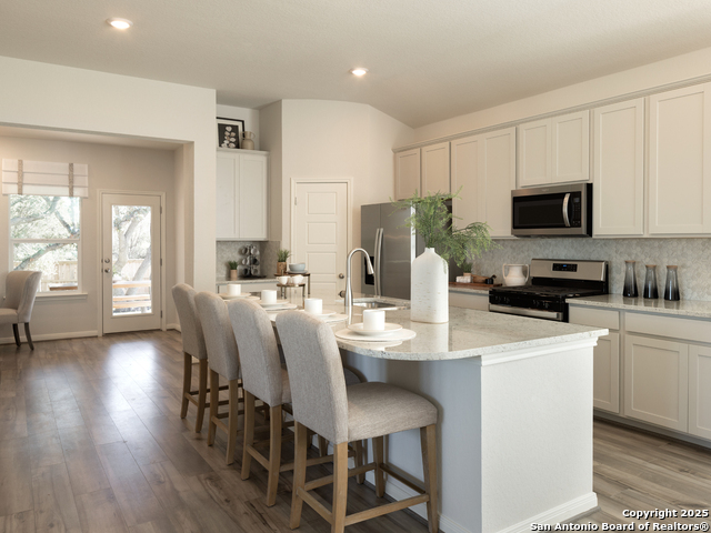 9904 Paladin Ridge, San Antonio, Texas image 2