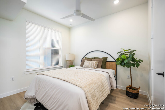 719 E Locust St #2104, San Antonio, Texas image 23