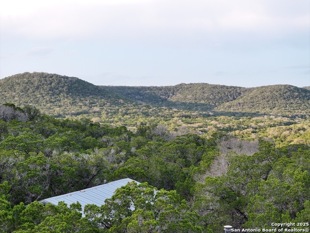 382 Windmill Hill, Pipe Creek, Texas image 6