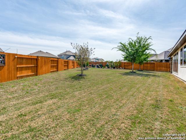 419 Catherine, New Braunfels, Texas image 35