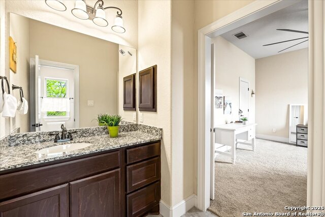 1131 Barolo, New Braunfels, Texas image 45