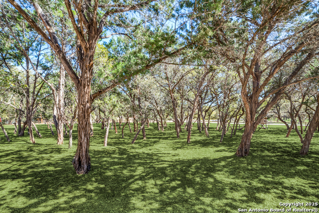 954 Lakeside Dr., Lakehills, Texas image 26