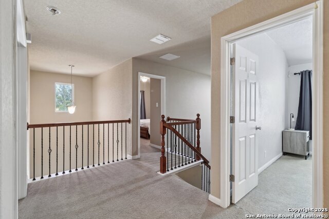 10611 Larch Grove, Helotes, Texas image 30