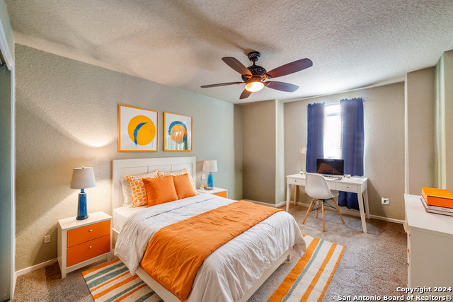 6310 Timpson, San Antonio, Texas image 9
