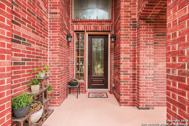 954 Santa Cruz, New Braunfels, Texas image 10