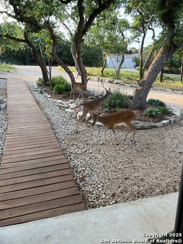 634 Deer Run, Canyon Lake, Texas image 10