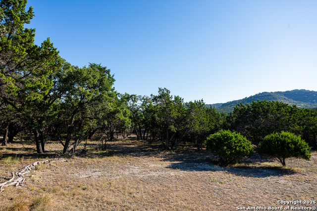 2844 Bear Springs, Pipe Creek, Texas image 13