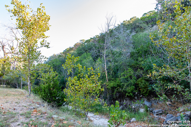 2844 Bear Springs, Pipe Creek, Texas image 2
