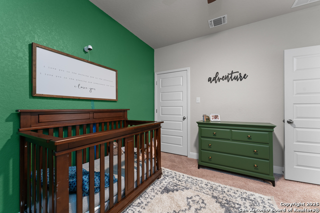 217 Blaze Moon, Cibolo, Texas image 11