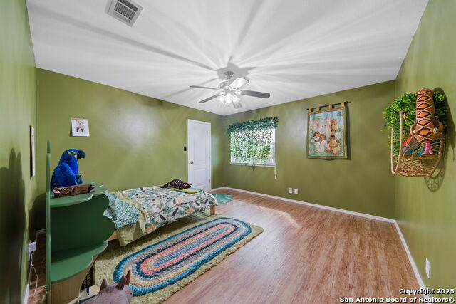 124 Cirrus Cove, Cibolo, Texas image 25