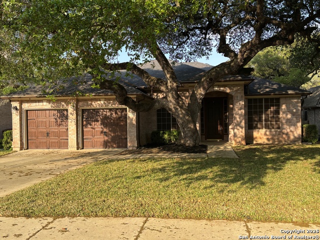 213 Oak Creek, Cibolo, Texas image 3
