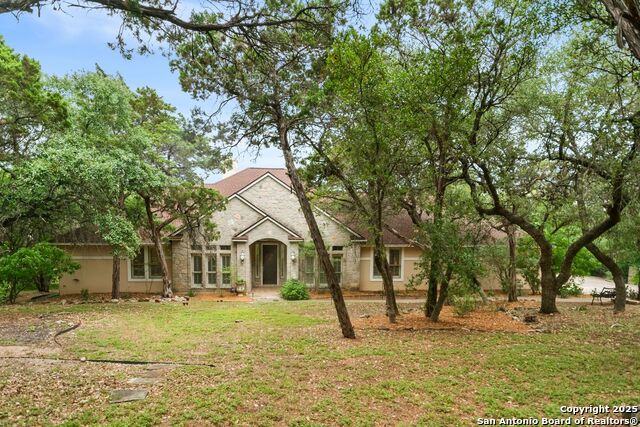 15610 Chinquapin, Helotes, Texas image 2