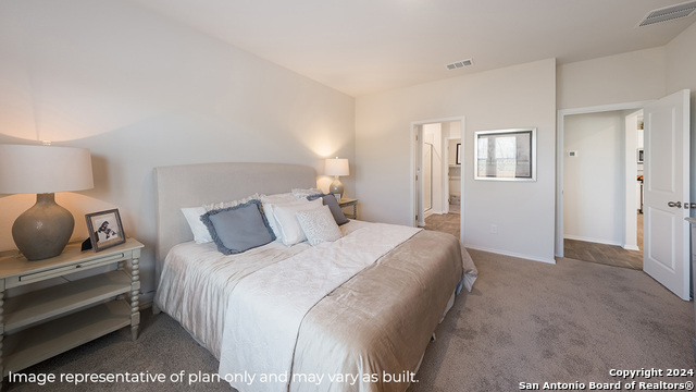 723 Garnier Pass, San Antonio, Texas image 16