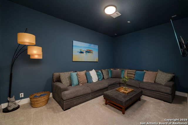 1003 Cloud Hawk, San Antonio, Texas image 18