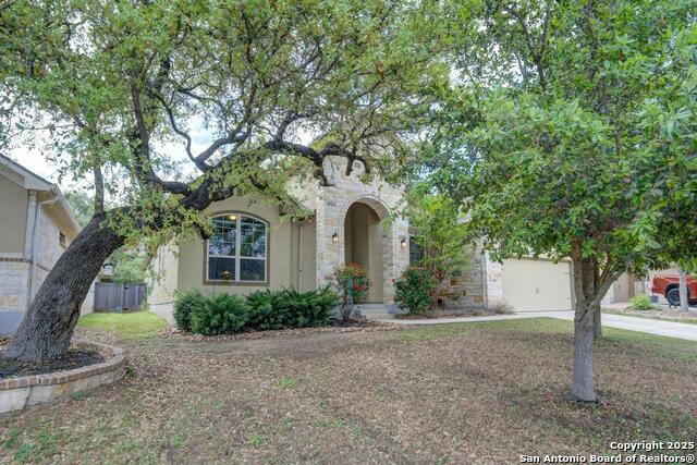 11342 Ivy Cadence, San Antonio, Texas image 2