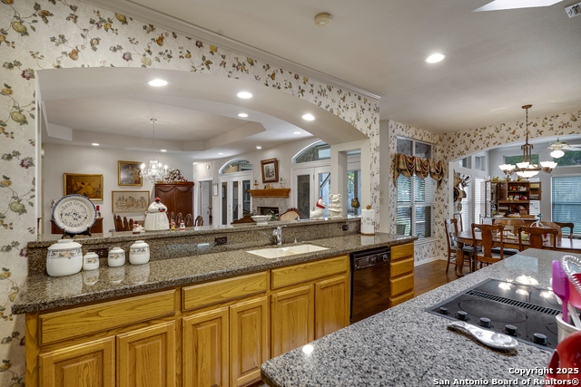 210 Savannah Jon, Boerne, Texas image 19
