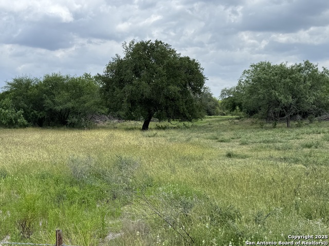 571 Fm 799, George West, Texas image 13