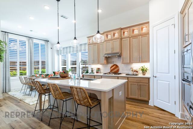 12431 Lanthimos, San Antonio, Texas image 4