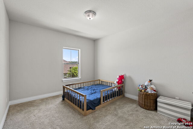 18323 Powder, San Antonio, Texas image 28