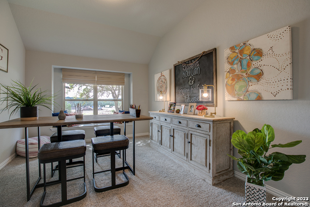 8920 Turkey Creek, Seguin, Texas image 11
