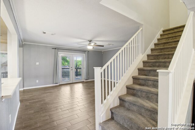 1100 Morningmist, Schertz, Texas image 5