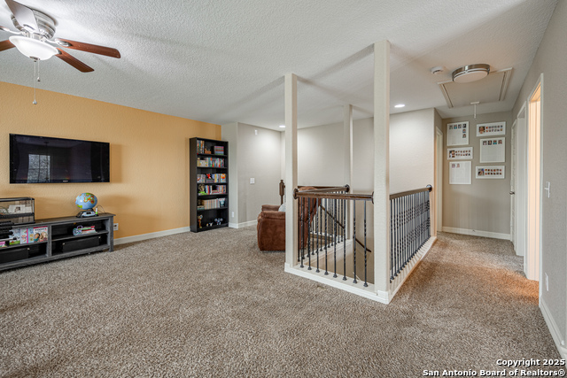 401 Wildcat Run, Cibolo, Texas image 35