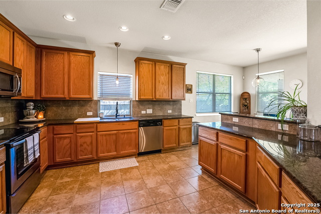 2058 Western Pecan, New Braunfels, Texas image 18