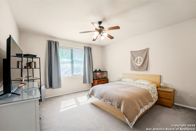2058 Western Pecan, New Braunfels, Texas image 22