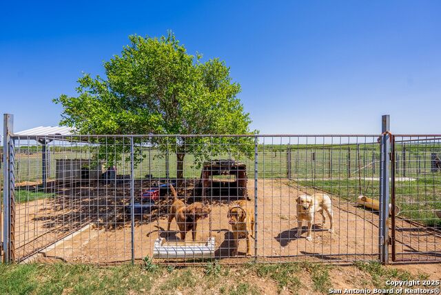 9404 Crow Lane, Adkins, Texas image 49