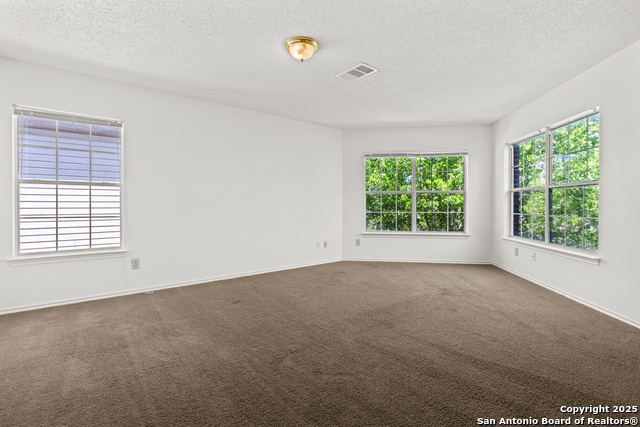 334 Territory Oak, San Antonio, Texas image 23