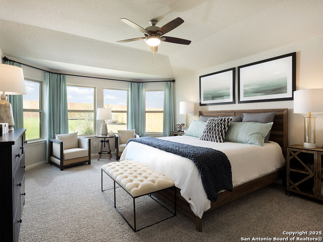 12626 Winding Butte, Schertz, Texas image 4