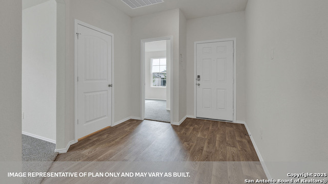 302 Bluetick Trail, Seguin, Texas image 3