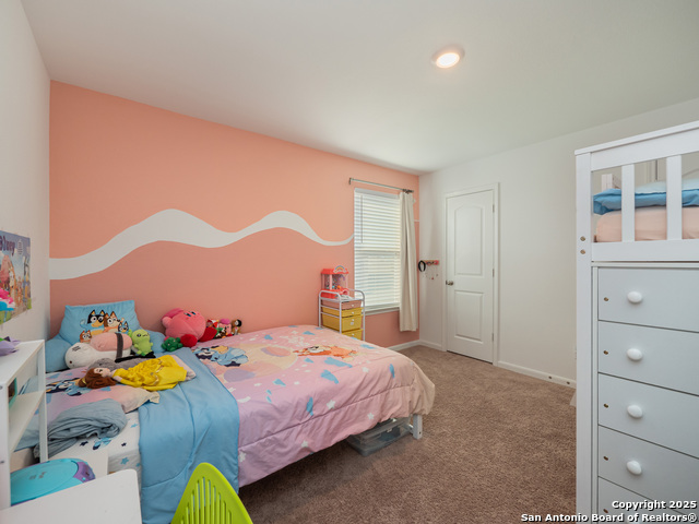 3965 Prairie Creek, New Braunfels, Texas image 19